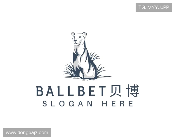 介绍BB贝博艾弗森官网